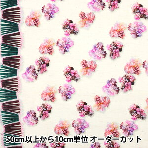 y5z n wHyakka by Chihiro Hasunuma CNWFbg ȖRpX EGXA-9002-3Ax KOKKA RbJ