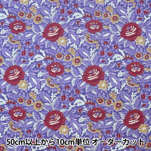 y5z n wSOULEIADO \CA[h Be[WtB[ k[ Cp[v SLFCV-93Cx