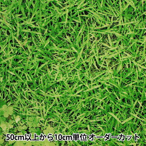 y5z n w10ԃIbNX Ővg HA-3037x KOKKA RbJ