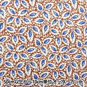 y5z n wSOULEIADO \CA[h Be[WtB[ ~tB[ }{Kj[uE SLFCV-98Cx