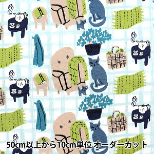 y5z n wkippis (LbsX) IbNX qbQ ACXu[ KPO-62Bx