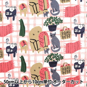 y5z n wkippis (LbsX) IbNX qbQ sN KPO-62Cx