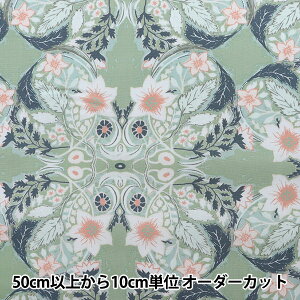 �y����5����z ���n �wUSA�R�b�g�� �I�[�i�e�B�b�N�E���F���g PIC-39455�x