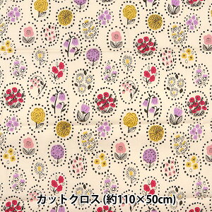 n wkippis (LbsX) IbNX JbgNX 108×50cm Ẳ AC{[ KPOK-49Ax