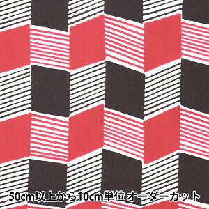 y5z n wiC^t^ 􉽊w [YsN×uE AP22705-2Dx RXeLX^C