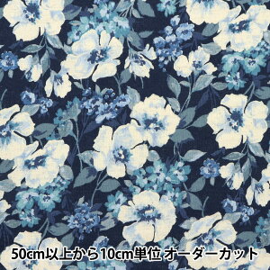 y5z n wȖRpX  u[ NGA-71040-42Cx KOKKA RbJ