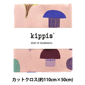 n wkippis (LbsX) IbNX JbgNX 108×50cm ̂ sN KPOK-64Cx
