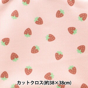 n wȐÊȐn X[Xjbg 38×38cm C`S TTN-02x