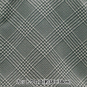 n wȐÊȐn X[Xjbg 38×38cm O`FbN TTN-07x