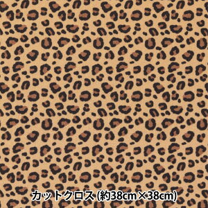 n wȐÊȐn X[Xjbg 38×38cm Ip[h TTN-12x