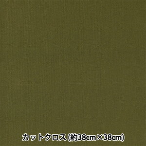 n wȐÊȐn X[Xjbg 38×38cm J[L TTNM-12x