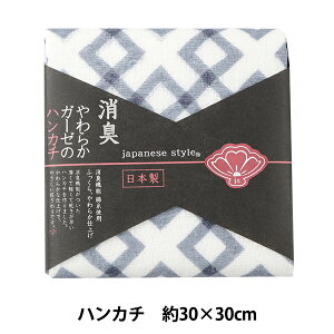 ^I wL炩K[[̃nJ` JS45002 NB lCr[ 炢 30×30cmx