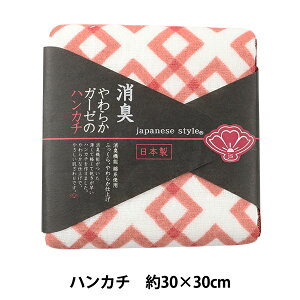 ^I wL炩K[[̃nJ` JS45002 R bh 炢 30×30cmx