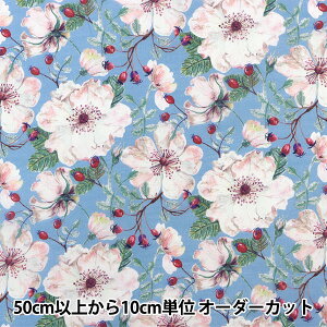 y5z n woeBEt@ubNX Z[ h[Zbg[Y DC30096-ZSx Liberty Japan oeBWp