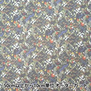 y5z n woeBEt@ubNX |GXeI[KW[ nCfBhD 3638139-Zx Liberty Japan oeBWp