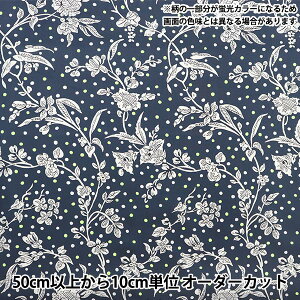 y5z n wLIBERTY lIJ[ ^i[ }[lI DC32679-J23Ax oeBWp