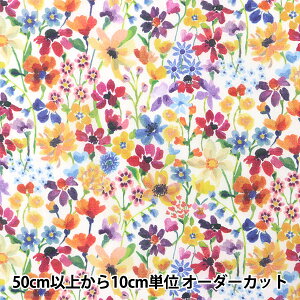 y5z n woeBEt@ubNX Z[ h[XIuT}[ 36301126-ASx Liberty Japan oeBWp