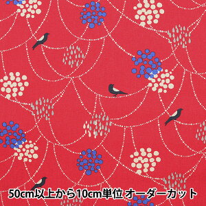 �y����5����z ���n�wechino(�G�`�m) �X�^���_�[�h BIRD �Ȗ��L�����o�X ���b�h EKX90300-301A�x KOKKA �R�b�J