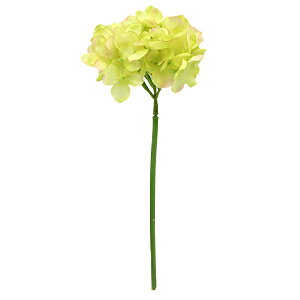  VNt[ wnChWV[gXe  O[ VE6827x