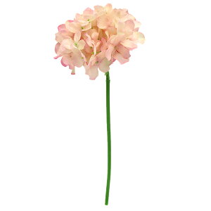  VNt[ wnChWV[gXe  sN VE6827x