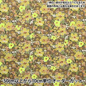 y5z n wLIBERTY lIJ[ ^i[ A[L[lI DC32680-J23Bx oeBWp