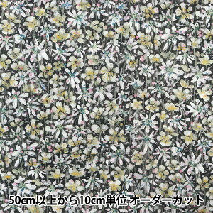 y5z n woeBEt@ubNX Z[ GIm 3634281-DSx Liberty Japan oeBWp