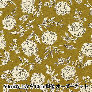 y5z n wȖLoX VGbg[Y I[uO[ 38096-1Cx