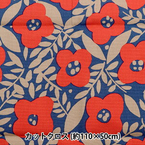 n wkippis (LbsX) IbNX JbgNX 110×50cm C~ lCr[×bh KPOK-74Cx