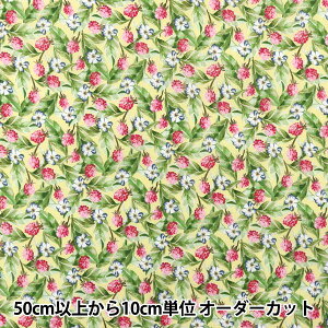 y5z n woeBEt@ubNX Z[ t@Ctx[Y DC30109-CSx Liberty Japan oeBWp