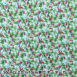 y5z n woeBEt@ubNX Z[ t@Ctx[Y DC30109-DSx Liberty Japan oeBWp