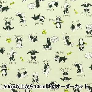 y5z n wV[`O уv t`u CgO[ YKA-89000-1Ax KOKKA RbJ