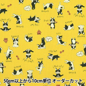 y5z n wV[`O уv t`u CG[ YKA-89000-1Cx KOKKA RbJ