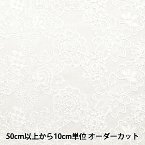 y5z n wȃ[X t[ N0833082-2x