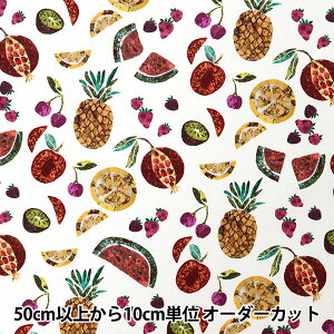 【数量5から】 生地 『LIBERTY リバティプリント 11号帆布 ピエトラ・デュラ 3631215-J22A』 リバティジャパン