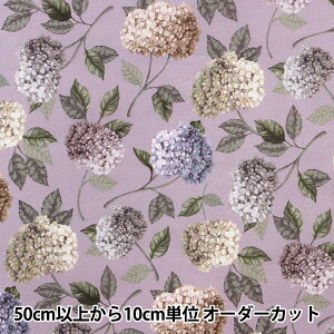 y5z n woeBEt@ubNX Z[ TtH[NvCY DC30104-BSx Liberty Japan oeBWp