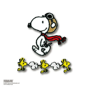 ���b�y�� �w�A�����W���b�y�� �X�k�[�s�[ RIO-3008�x KIYOHARA ����