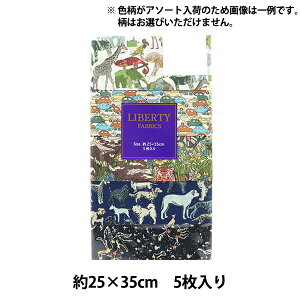 n wLIBERTY oeBvg JbgNX 5Zbg A\[gq C-LIBERTY5CH2xLiberty Japan oeBWp