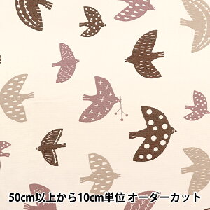 �y����5����z ���n �w�O���O���� ���� �x�[�W�� AP22808-1B�x