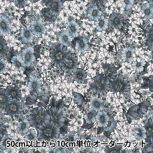 y5z n woeBEt@ubNX ^i[ OAt[Y DC10480-VEx Liberty Japan oeBWp