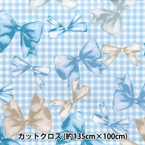 n w͂RۖhL|GXe JbgNX 135cm×100cm {`FbN u[ C-HP-SC-RI-BLx