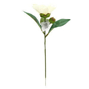  VNt[ wփsbN zCg VE4050x