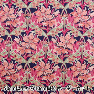 y5z n woeBEt@ubNX ^i[ EFu~EY DC32587-Dx Liberty Japan oeBWp