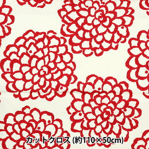 n wcC _ 110×50cmJbgNX C-UP5540-Ax