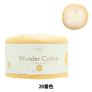 tĖю w_[Rbg ׃^Cv XEB[gCG[ 20ԐFx