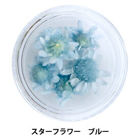楽天市場 ユザワヤ 押し花の通販 楽天市場 ユザワヤ 押し花の通販