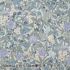 y5z n wȖV[`O ԕ u[ AP22801-1Ax