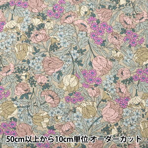 y5z n wȖV[`O ԕ sN AP22801-1Bx