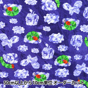 y5z n wIbNX ͂؂ނ   G-4182-1Bx KOKKA RbJ