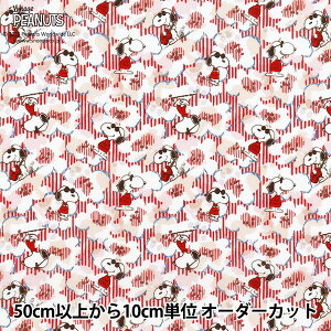 y5z n woeBEt@ubNX ^i[ W[EN[ DC34861-J25Ax Liberty Japan oeBWp