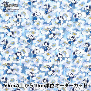 y5z n woeBEt@ubNX ^i[ W[EN[ DC34861-J25Cx Liberty Japan oeBWp